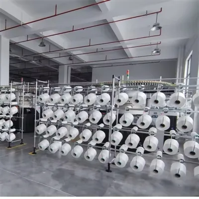 Poliesterio ateities sandorių banga: poveikis švarių patalpų valytuvų gamybos...